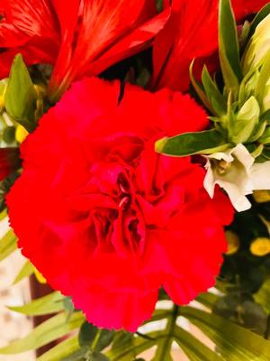 松波奈央の写メ日記｜ローテンブルク 吉原高級店ソープ