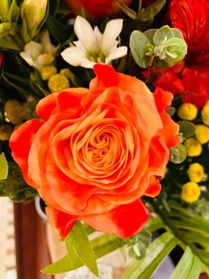 松波奈央の写メ日記｜ローテンブルク 吉原高級店ソープ