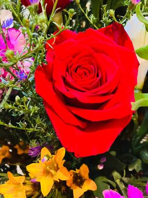 松波奈央の写メ日記｜ローテンブルク 吉原高級店ソープ