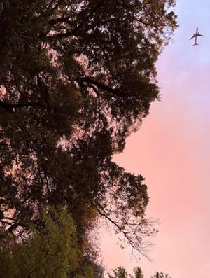 夏野朝妃の写メ日記｜ローテンブルク 吉原高級店ソープ