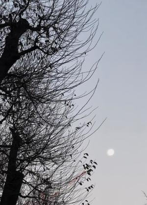 夏野朝妃の写メ日記｜ローテンブルク 吉原高級店ソープ