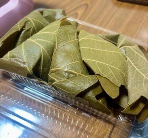 古手川あみるの写メ日記｜ローテンブルク 吉原高級店ソープ