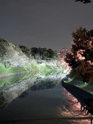 岸谷優里の写メ日記｜ローテンブルク 吉原高級店ソープ