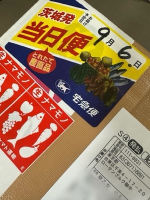 早乙女りえの写メ日記｜ローテンブルク 吉原高級店ソープ