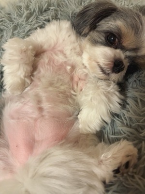 早乙女りえの写メ日記｜ローテンブルク 吉原高級店ソープ