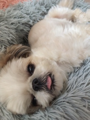 早乙女りえの写メ日記｜ローテンブルク 吉原高級店ソープ