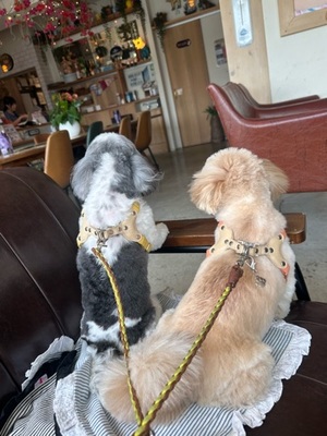 早乙女りえの写メ日記｜ローテンブルク 吉原高級店ソープ