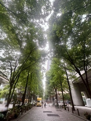 早乙女りえの写メ日記｜ローテンブルク 吉原高級店ソープ