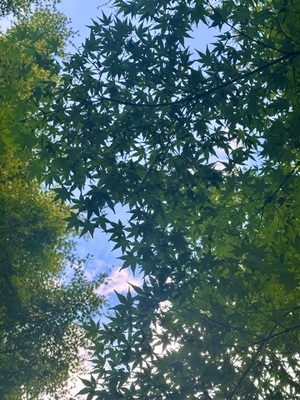 早乙女りえの写メ日記｜ローテンブルク 吉原高級店ソープ