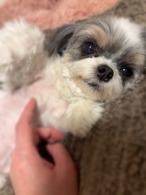 早乙女りえの写メ日記｜ローテンブルク 吉原高級店ソープ