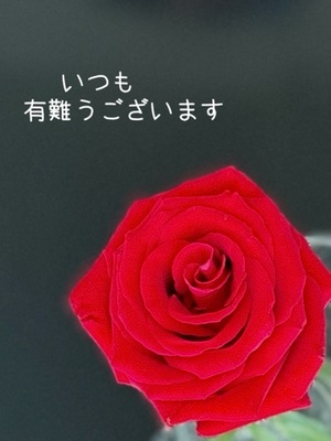 早乙女りえの写メ日記｜ローテンブルク 吉原高級店ソープ