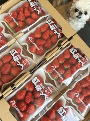 早乙女りえの写メ日記｜ローテンブルク 吉原高級店ソープ