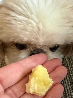 早乙女りえの写メ日記｜ローテンブルク 吉原高級店ソープ