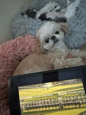 早乙女りえの写メ日記｜ローテンブルク 吉原高級店ソープ