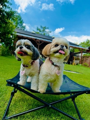 早乙女りえの写メ日記｜ローテンブルク 吉原高級店ソープ