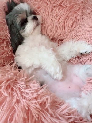 早乙女りえの写メ日記｜ローテンブルク 吉原高級店ソープ