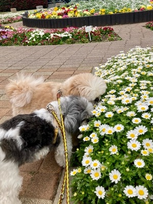 早乙女りえの写メ日記｜ローテンブルク 吉原高級店ソープ
