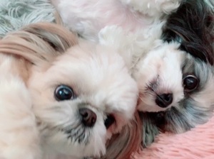 早乙女りえの写メ日記｜ローテンブルク 吉原高級店ソープ