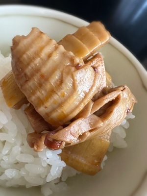 早乙女りえの写メ日記｜ローテンブルク 吉原高級店ソープ