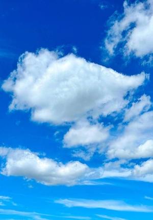 胡蝶 蘭の写メ日記｜ローテンブルク 吉原高級店ソープ