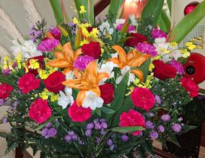 胡蝶 蘭の写メ日記｜ローテンブルク 吉原高級店ソープ