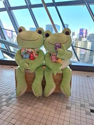 胡蝶 蘭の写メ日記｜ローテンブルク 吉原高級店ソープ