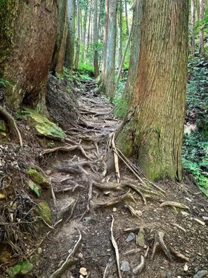 森川すみれの写メ日記｜ローテンブルク 吉原高級店ソープ