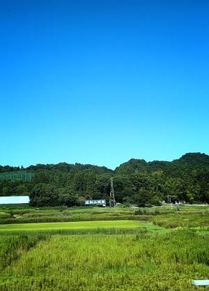 森川すみれの写メ日記｜ローテンブルク 吉原高級店ソープ