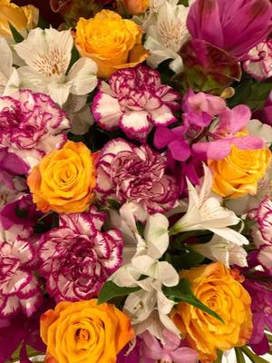 森川すみれの写メ日記｜ローテンブルク 吉原高級店ソープ