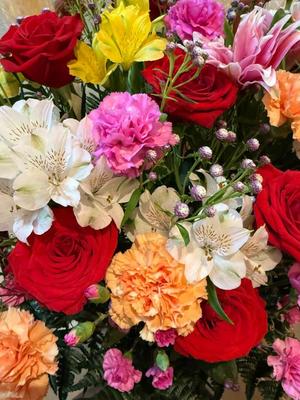 森川すみれの写メ日記｜ローテンブルク 吉原高級店ソープ