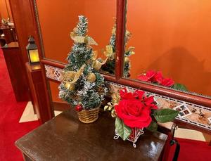 森川すみれの写メ日記|ローテンブルク 吉原高級店ソープ