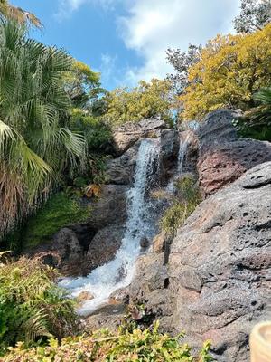 森川すみれの写メ日記｜ローテンブルク 吉原高級店ソープ