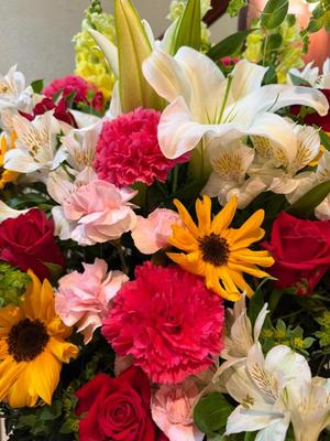 森川すみれの写メ日記｜ローテンブルク 吉原高級店ソープ