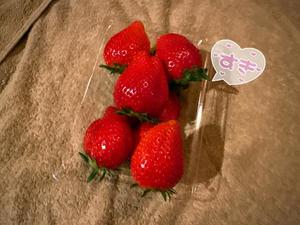 森川すみれの写メ日記｜ローテンブルク 吉原高級店ソープ