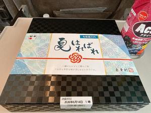 森川すみれの写メ日記｜ローテンブルク 吉原高級店ソープ