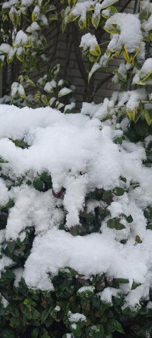 相楽ひとみの写メ日記｜ローテンブルク 吉原高級店ソープ