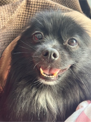 藤谷香文の写メ日記｜ローテンブルク 吉原高級店ソープ