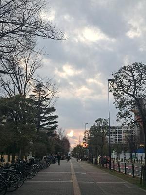 月野楽々の写メ日記｜ローテンブルク 吉原高級店ソープ