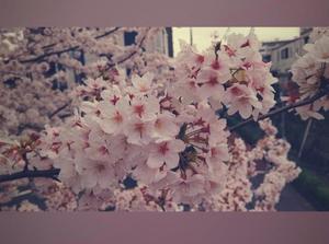 月野楽々の写メ日記｜ローテンブルク 吉原高級店ソープ