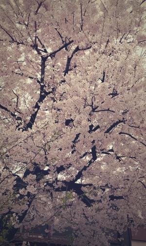 月野楽々の写メ日記｜ローテンブルク 吉原高級店ソープ