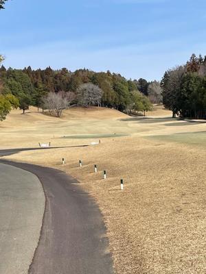一之瀬 茜の写メ日記｜ローテンブルク 吉原高級店ソープ