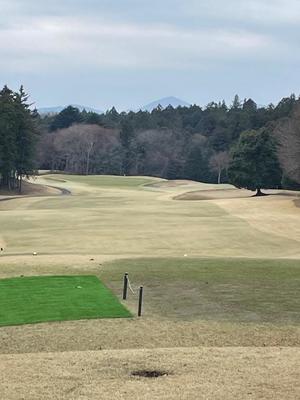 一之瀬 茜の写メ日記｜ローテンブルク 吉原高級店ソープ