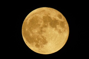 さゆりの写メ日記｜ローテンブルク 吉原高級店ソープ