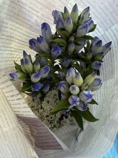 さゆりの写メ日記｜ローテンブルク 吉原高級店ソープ