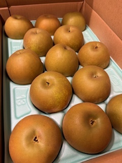 さゆりの写メ日記｜ローテンブルク 吉原高級店ソープ