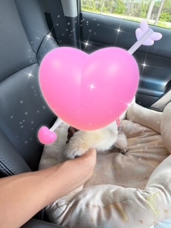 さゆりの写メ日記｜ローテンブルク 吉原高級店ソープ