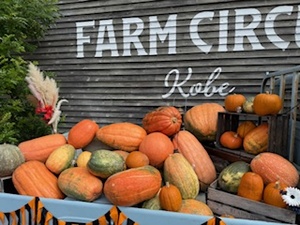 さゆりの写メ日記｜ローテンブルク 吉原高級店ソープ