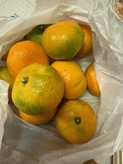 さゆりの写メ日記｜ローテンブルク 吉原高級店ソープ