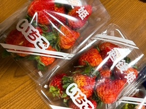 さゆりの写メ日記｜ローテンブルク 吉原高級店ソープ