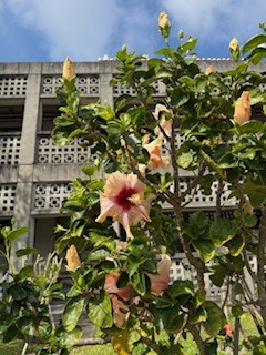 さゆりの写メ日記｜ローテンブルク 吉原高級店ソープ